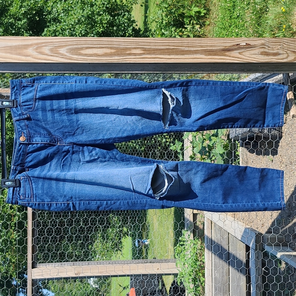 Ripped Jeggings